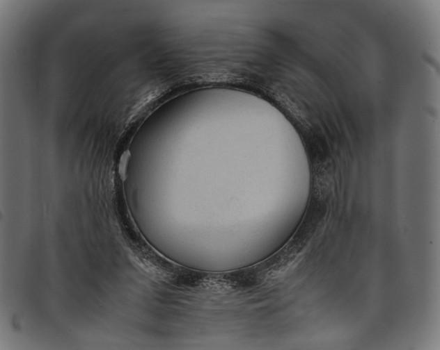 X0000097880207200803281231