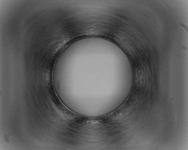 X0000097880208200803281231