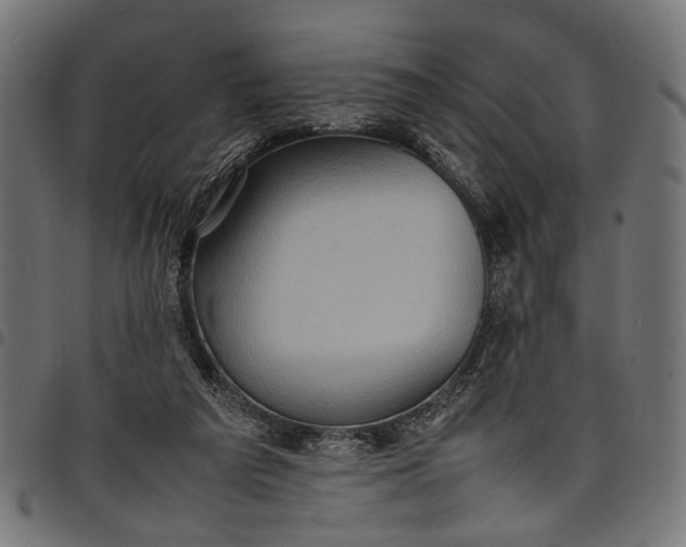 X0000097880209200803281231