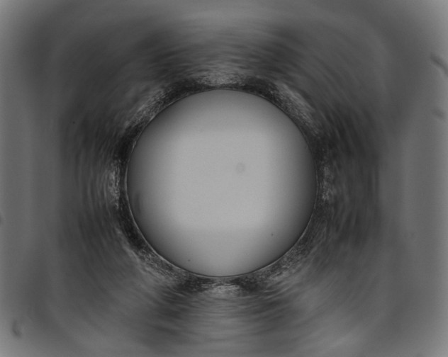 X0000097880210200803281231