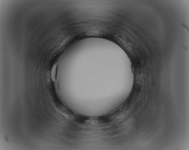 X0000097880211200803281231