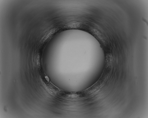 X0000097880212200803281231