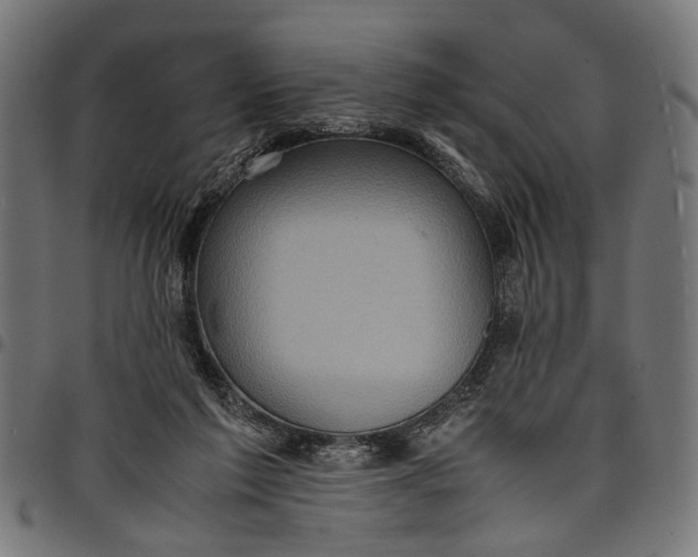 X0000097880213200803281231