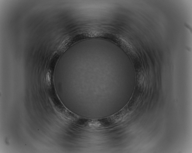 X0000097880214200803281231