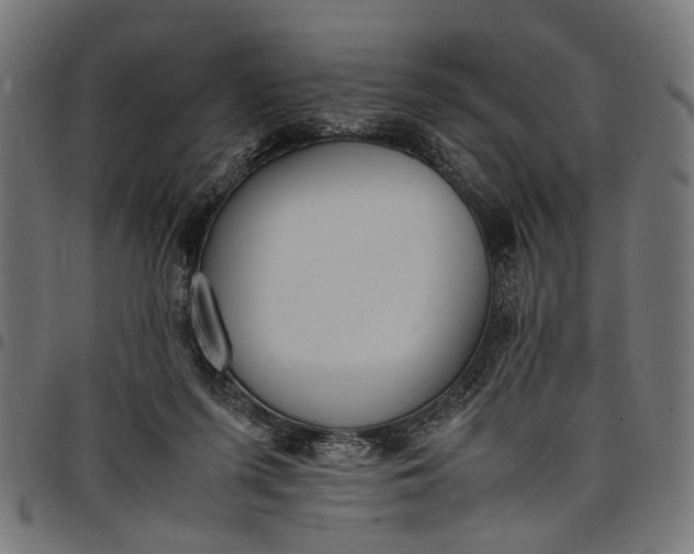 X0000097880215200803281231