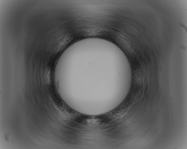 X0000097880216200803281231