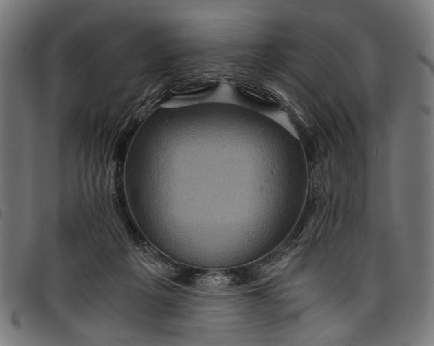 X0000097880217200803281230