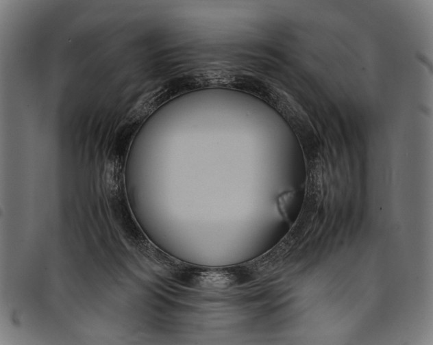 X0000097880218200803281230