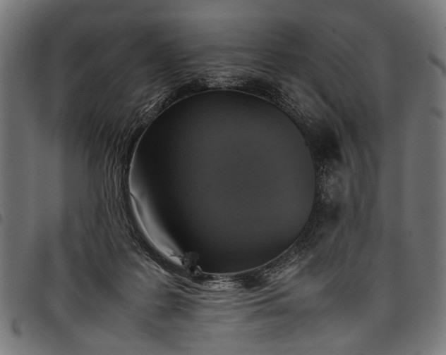 X0000097880219200803281230