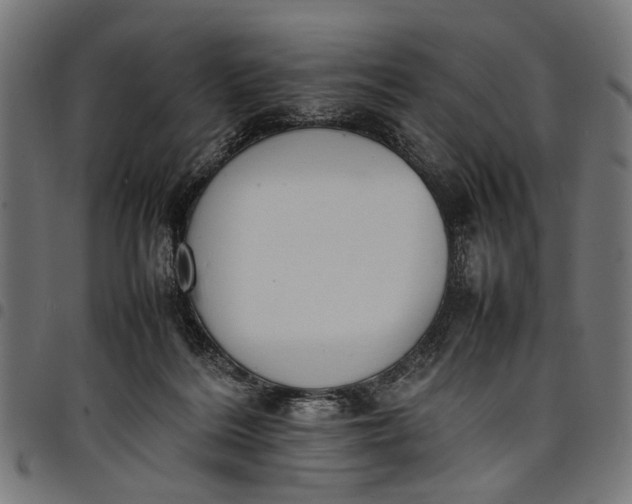 X0000097880220200803281230