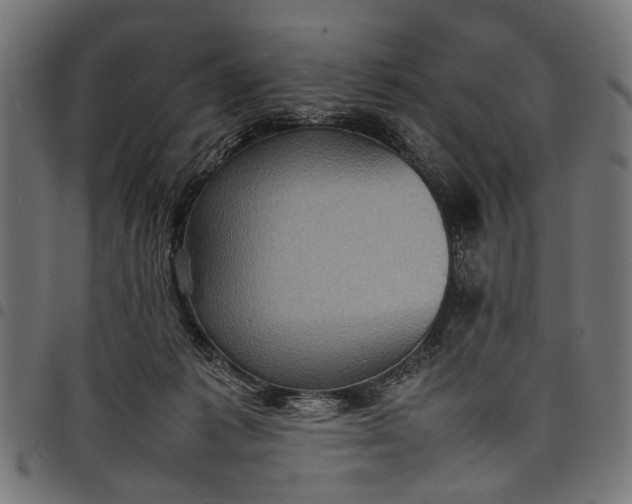 X0000097880221200803281230