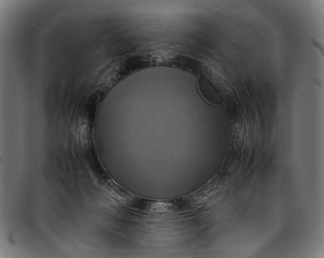 X0000097880222200803281230