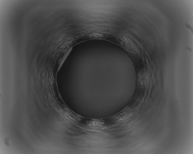 X0000097880223200803281230