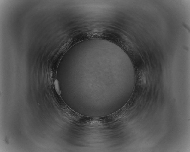 X0000097880224200803281230