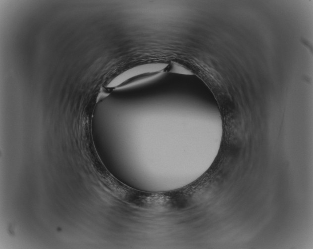 X0000097880225200803281230