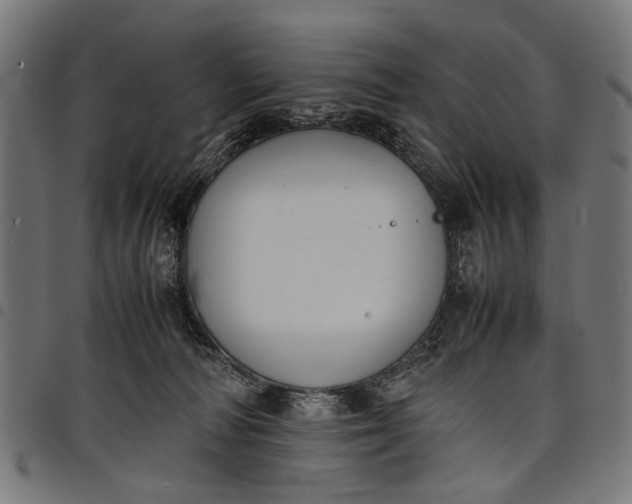 X0000097880226200803281230