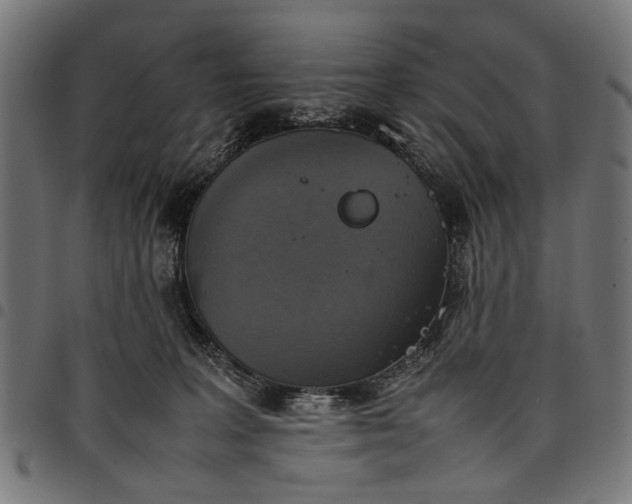 X0000097880227200803281230