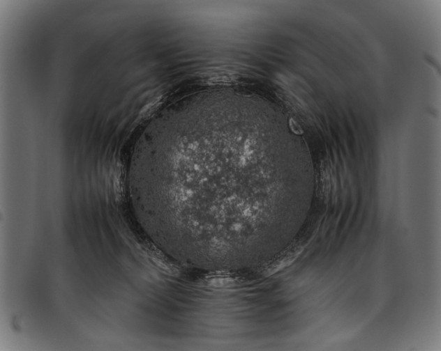 X0000097880228200803281230