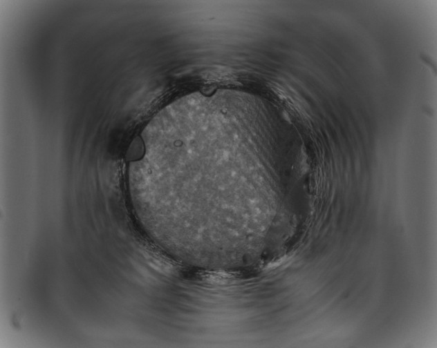 X0000097880229200803281230