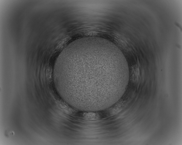 X0000097880230200803281230