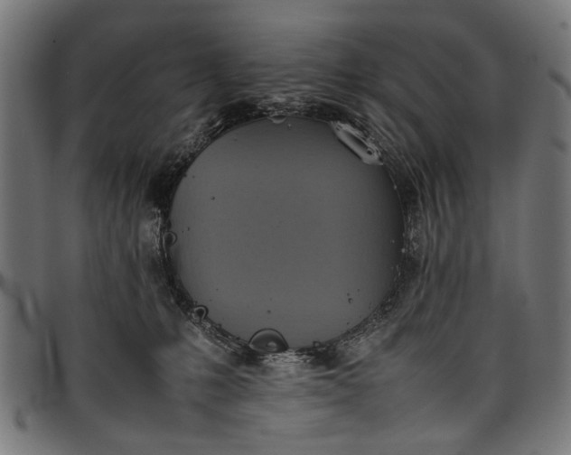 X0000097880231200803281230