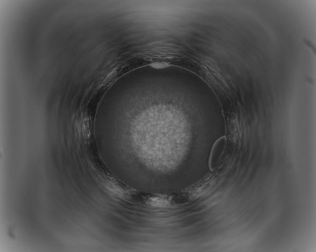 X0000097880232200803281230