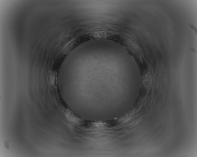 X0000097880233200803281230