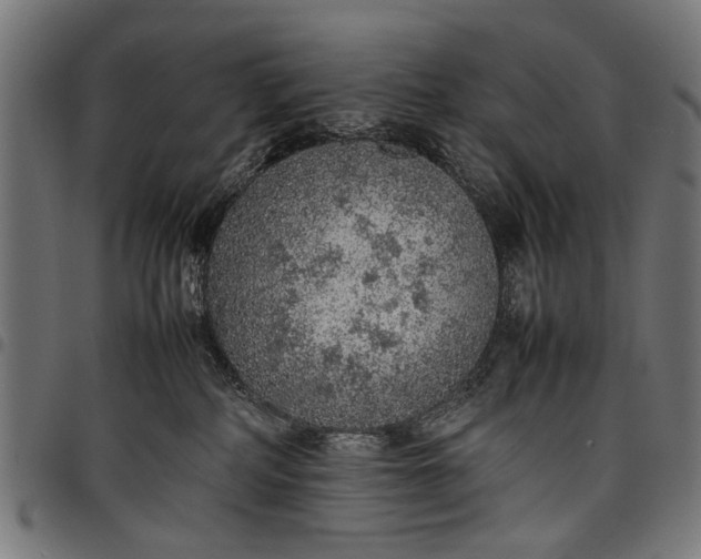 X0000097880234200803281230