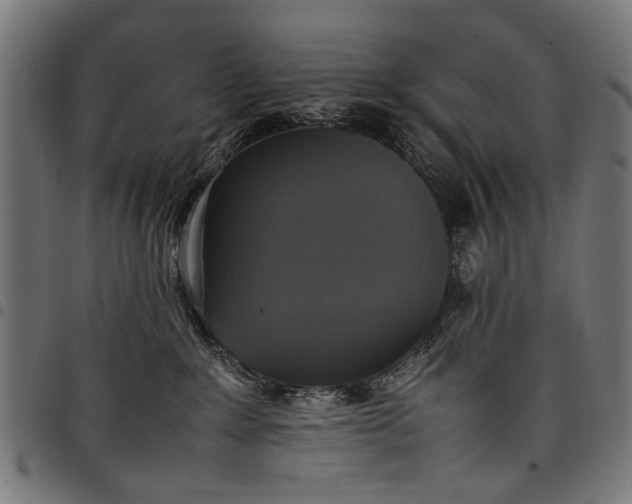 X0000097880235200803281230