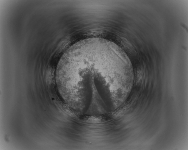 X0000097880236200803281230