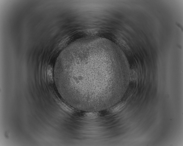 X0000097880238200803281230