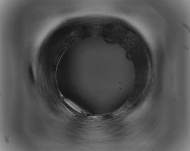 X0000097880239200803281230