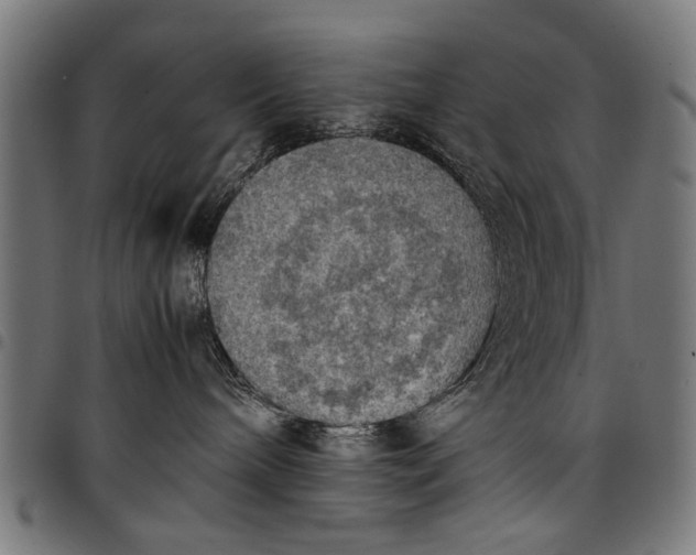 X0000097880240200803281230