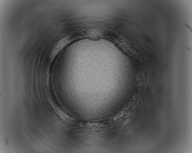 X0000097880242200803281230