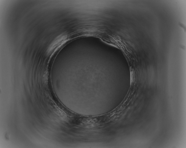 X0000097880243200803281230