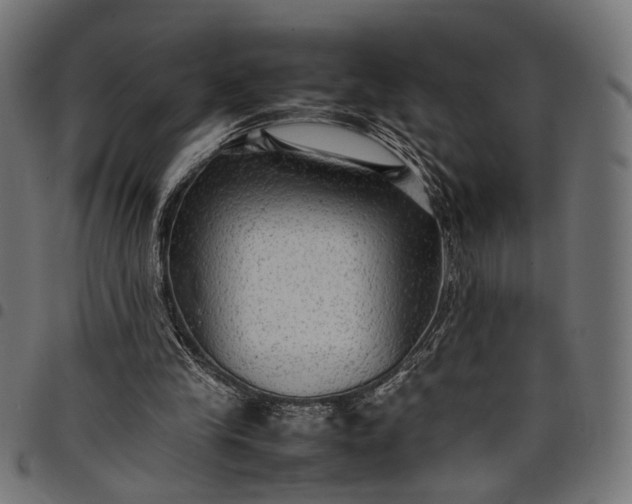 X0000097880245200803281230