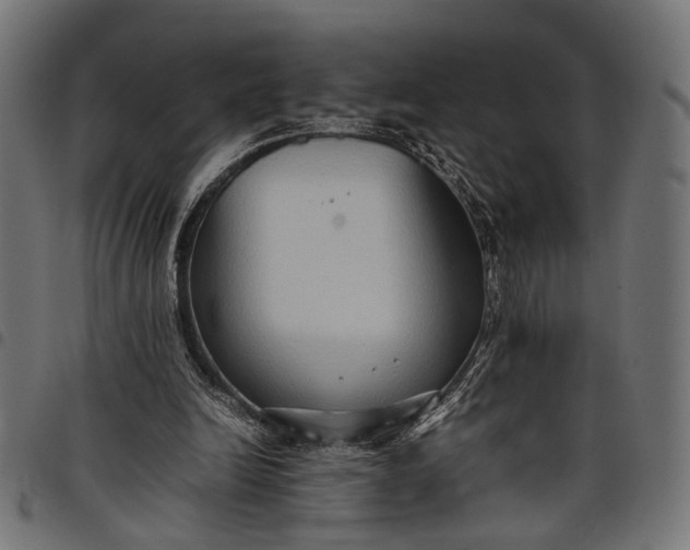 X0000097880246200803281230