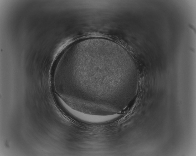 X0000097880248200803281230