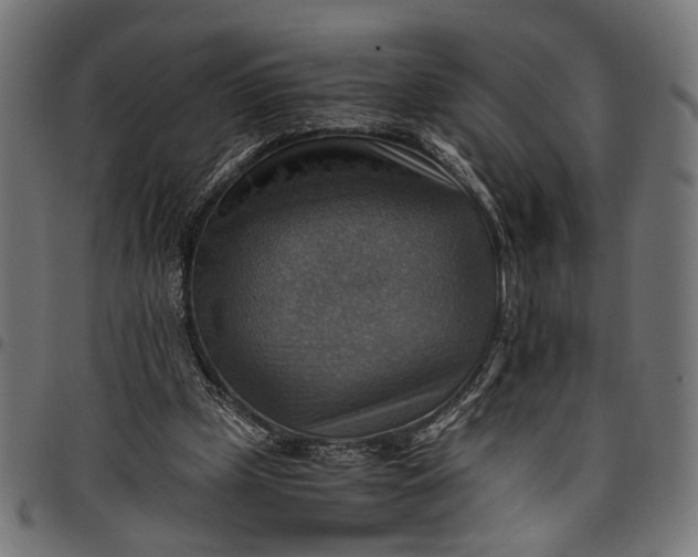 X0000097880249200803281230