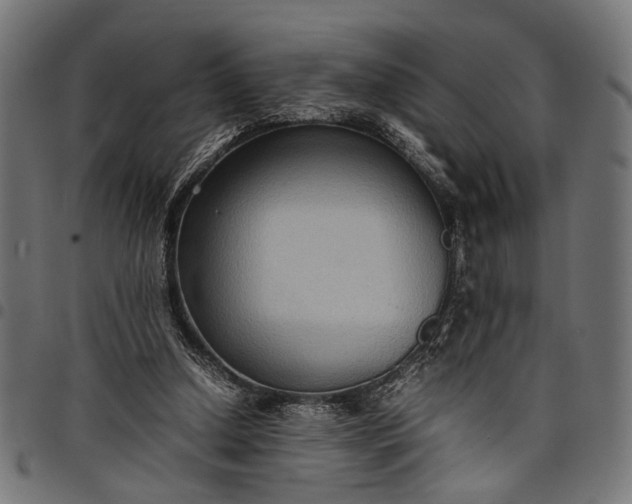 X0000097880250200803281230