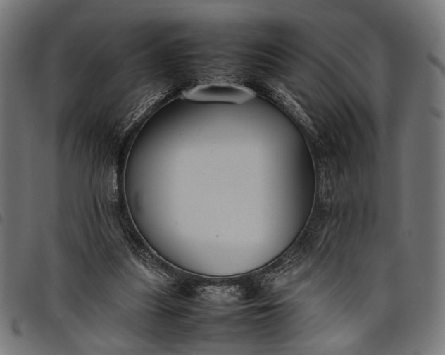 X0000097880251200803281230