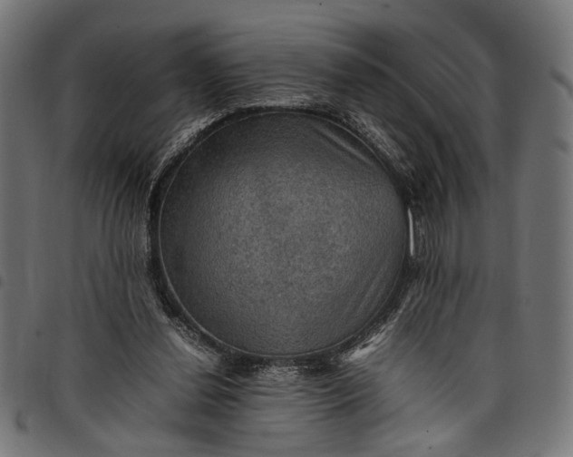 X0000097880252200803281230