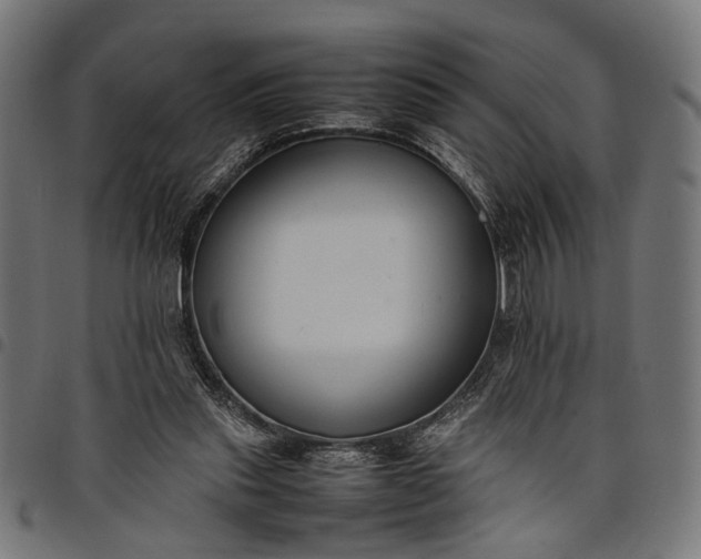 X0000097880253200803281230