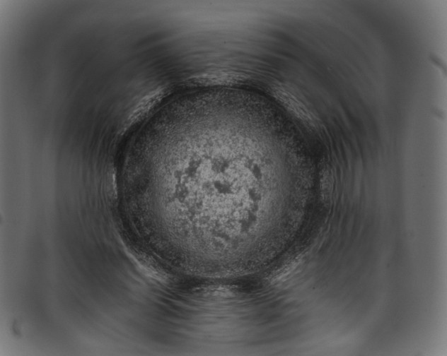 X0000097880254200803281230