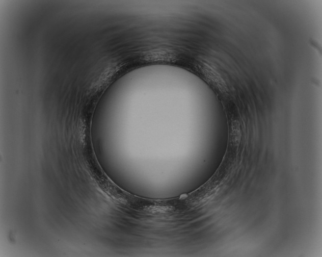 X0000097880255200803281230