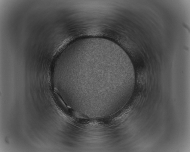 X0000097880256200803281230