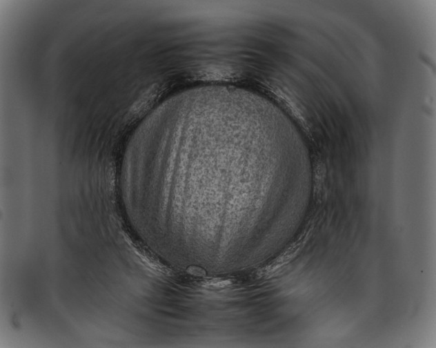 X0000097880257200803281230