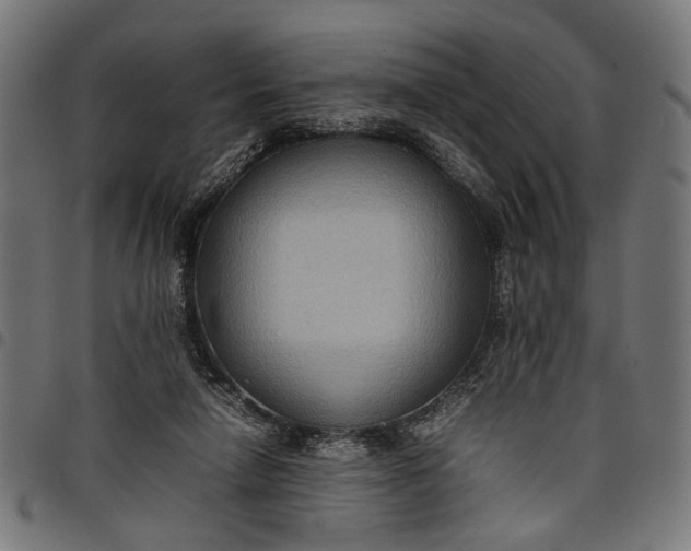 X0000097880258200803281230