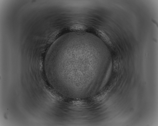 X0000097880259200803281230