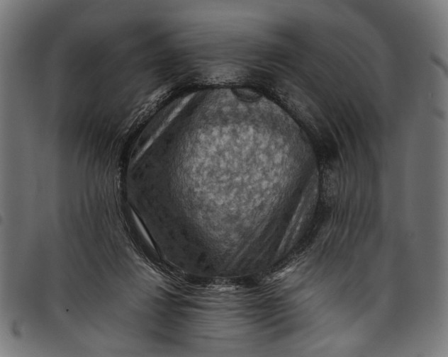 X0000097880260200803281230